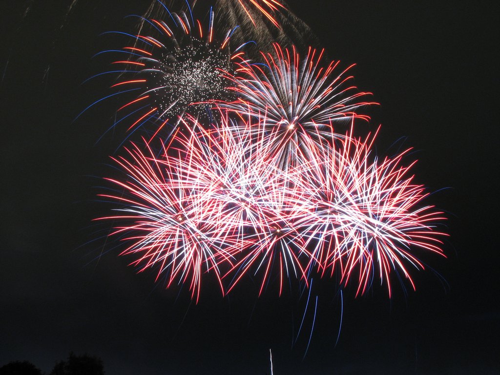 10_slc_sugar_house_fireworks_110704.jpg