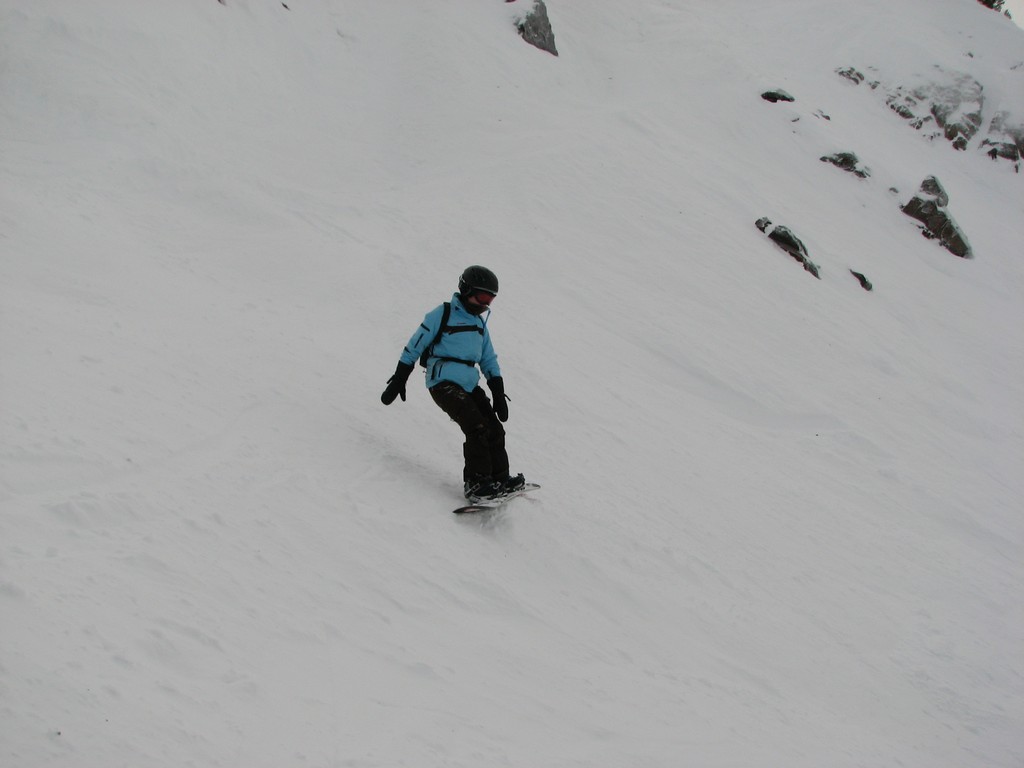 11 snowbird great scott tawny 100101.jpg