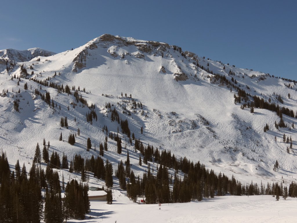 12 alta backside 120204.jpg