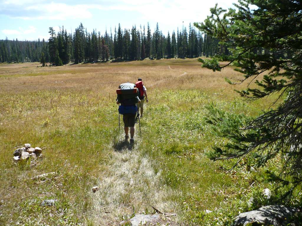 12 uintas bog norway flat 090907.jpg