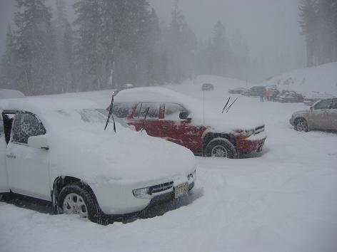 1205cars.JPG