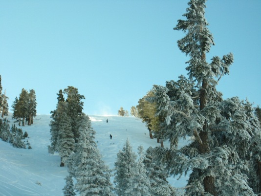 121808_topemiles.JPG