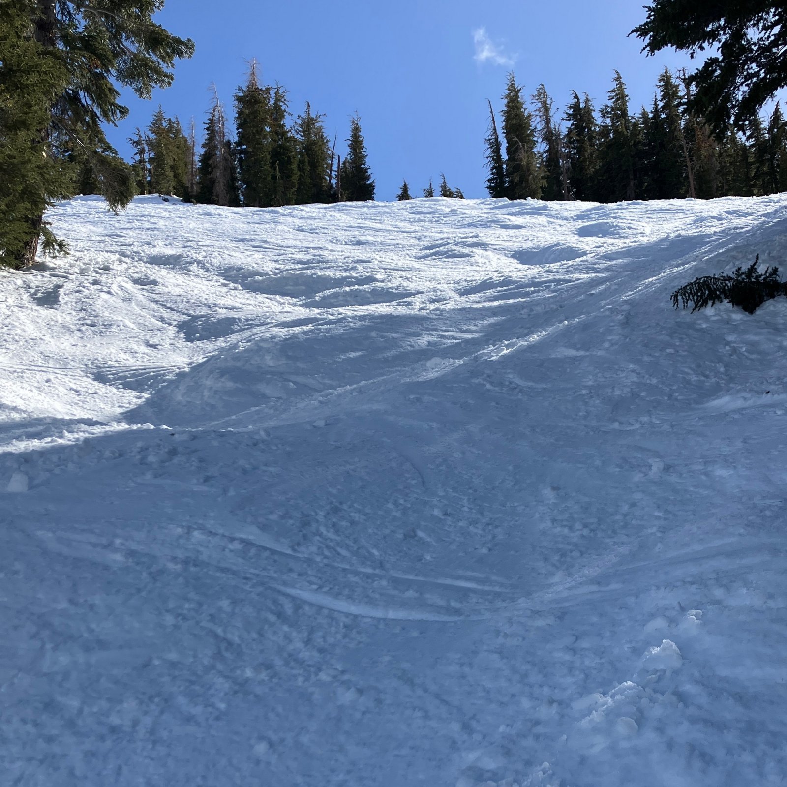 1256MyChute.JPG