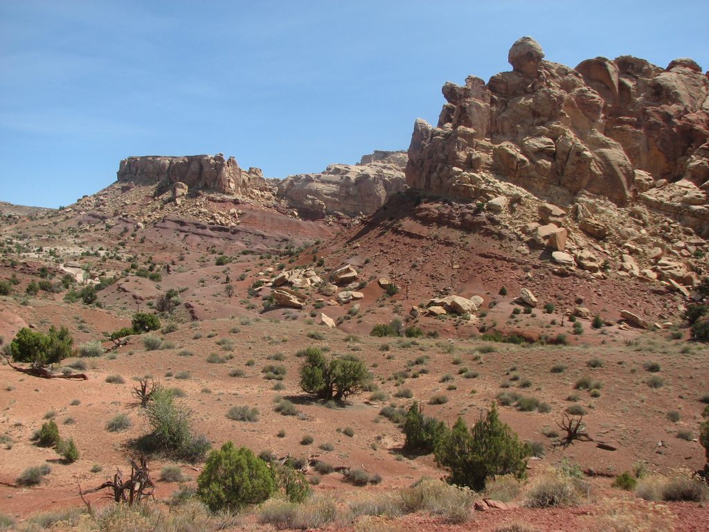 13 dingdang behind reef 110605.jpg