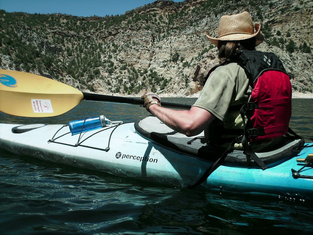 13e flaming gorge kingfisher cyn telejon100627.jpg