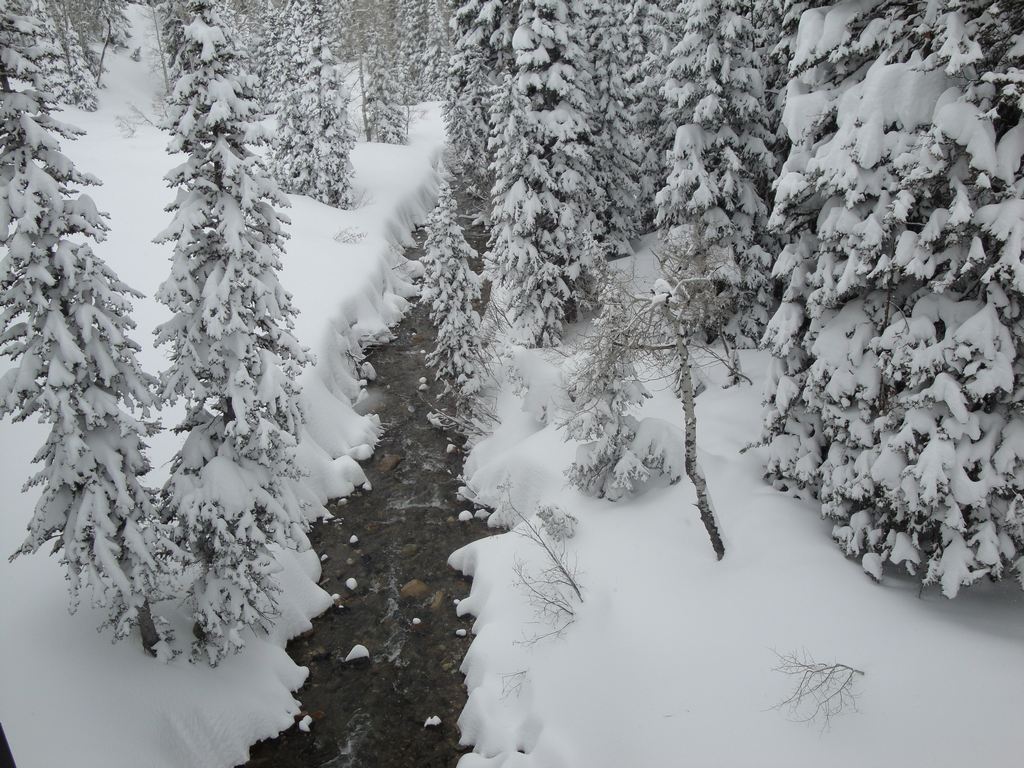 15 snowbird little cottonwood creek 100502.jpg