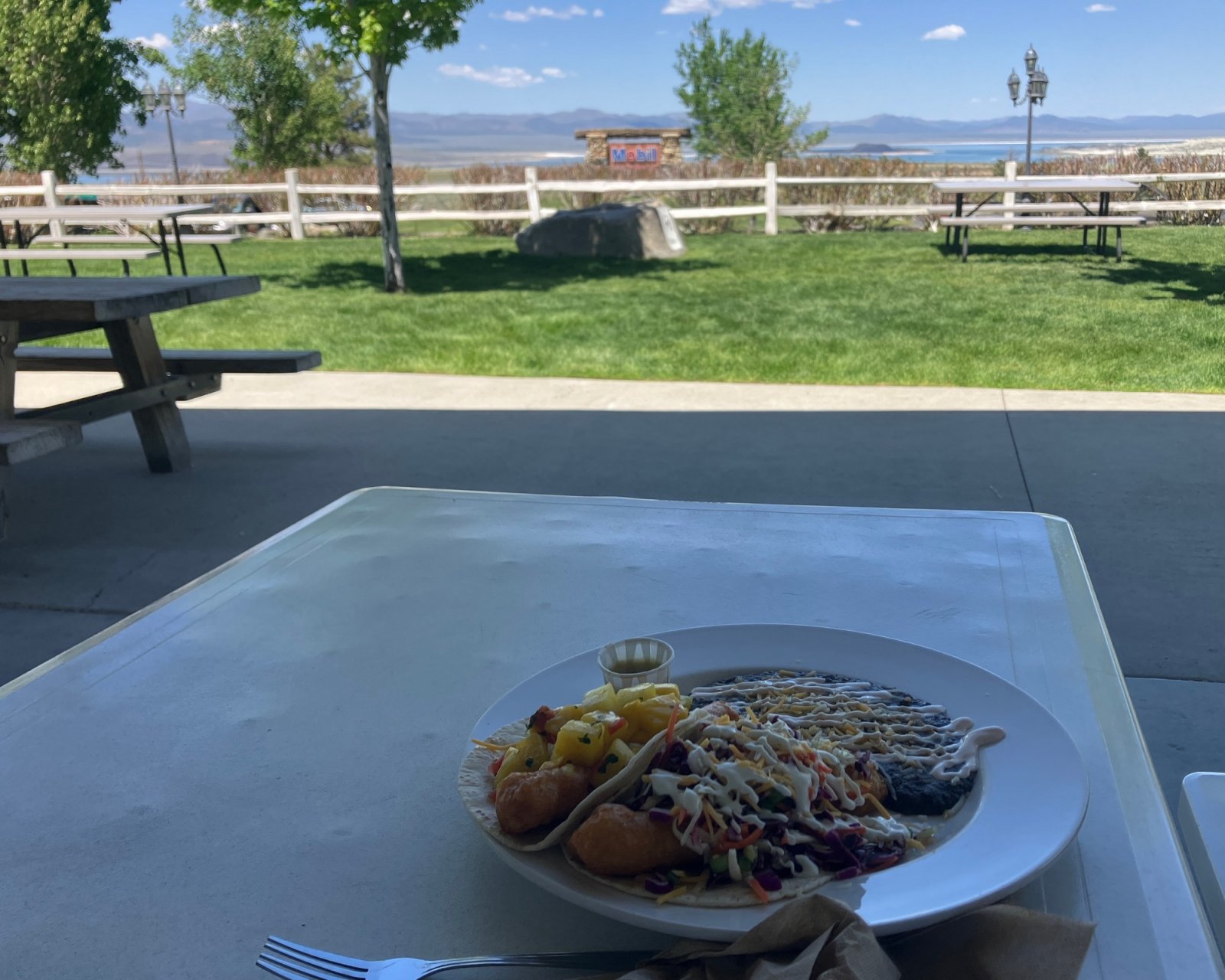 1611WhoaNellieLunchView.JPG