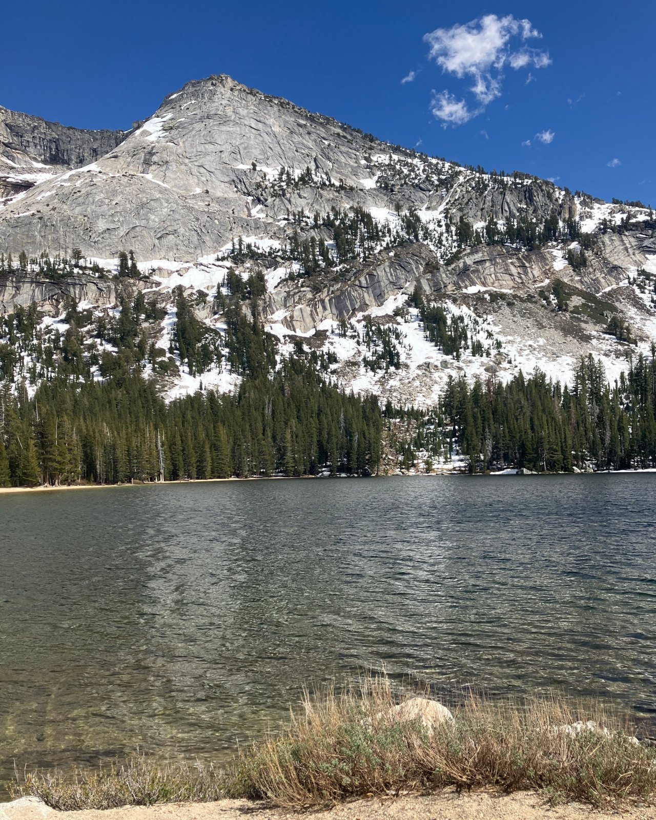 1620TenayaLake2South.JPG