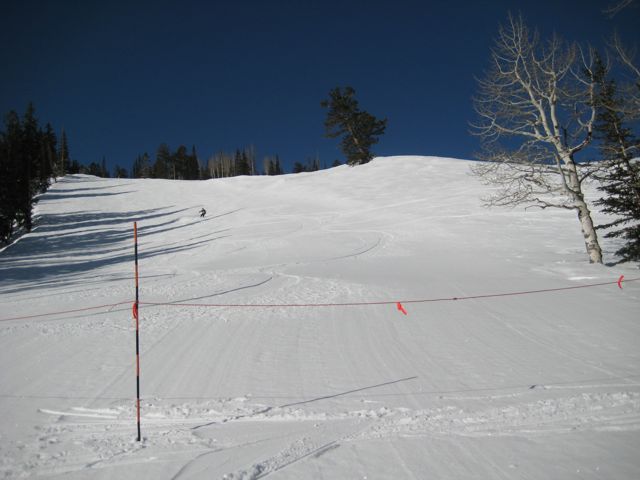 2 inches snowbird.jpg