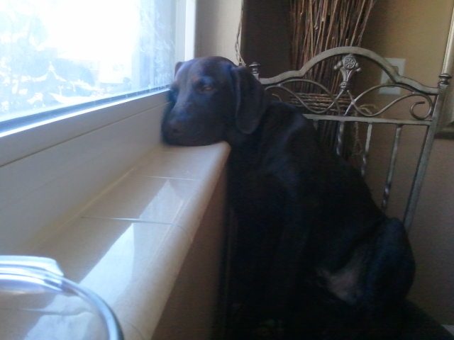 2011-11-27 14 01 53.jpg