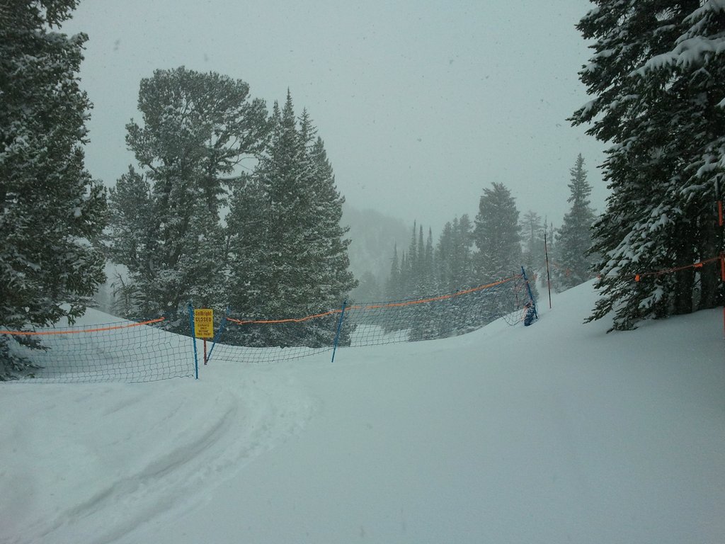 2012-04-06 10.45.35.jpg