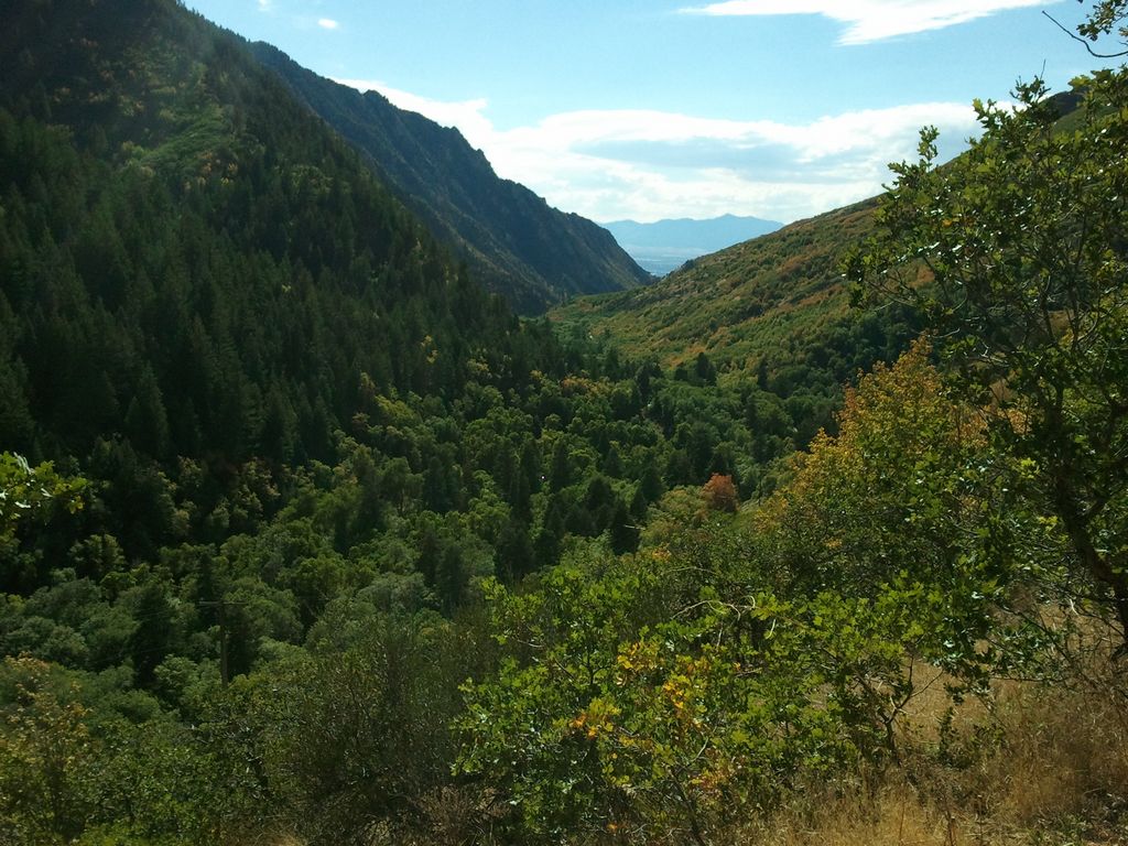 2012-09-01 16.26.04.jpg