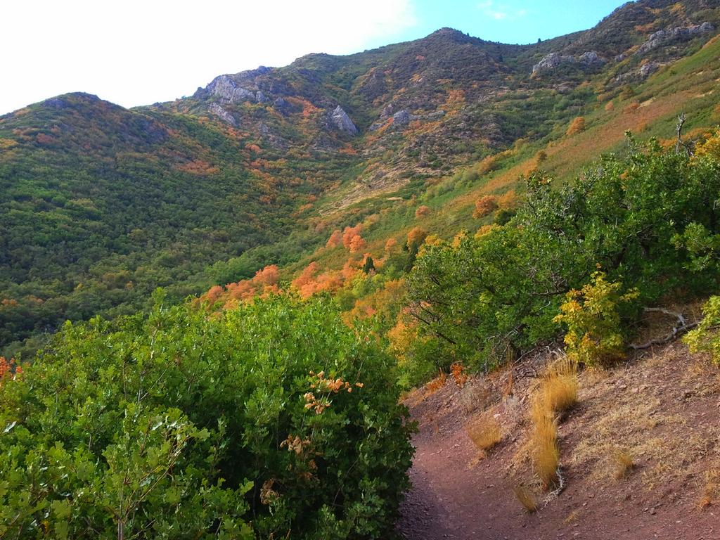 2012-09-01 16.40.23.jpg