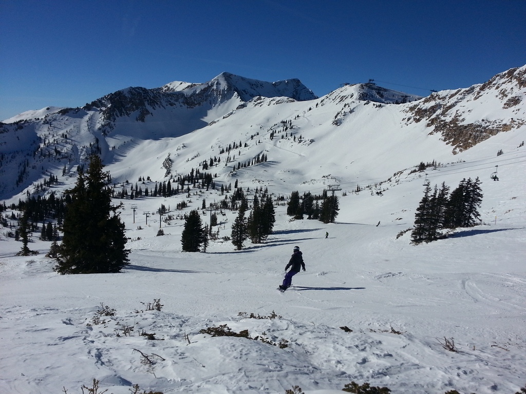 20130119_110424.jpg