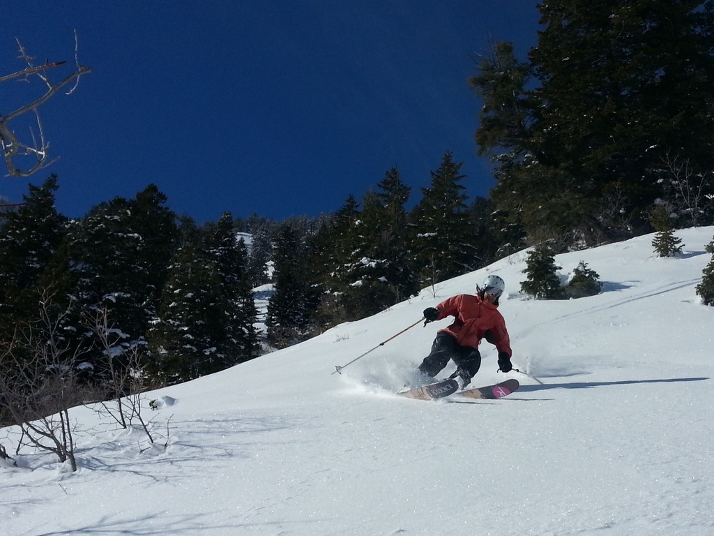 20130202_121744_1.jpg