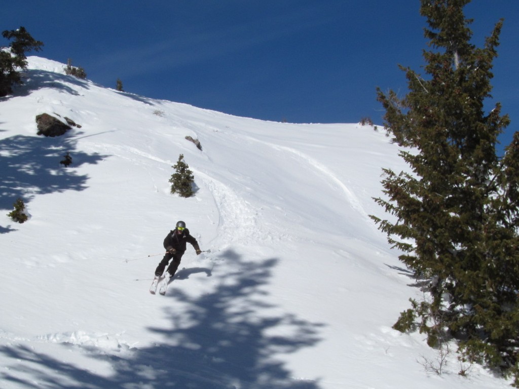 20130202_121933_2.JPG