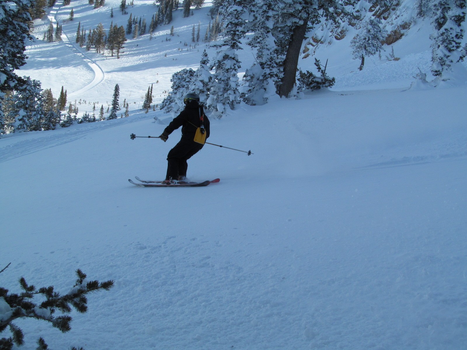 20130202_121935_22.JPG