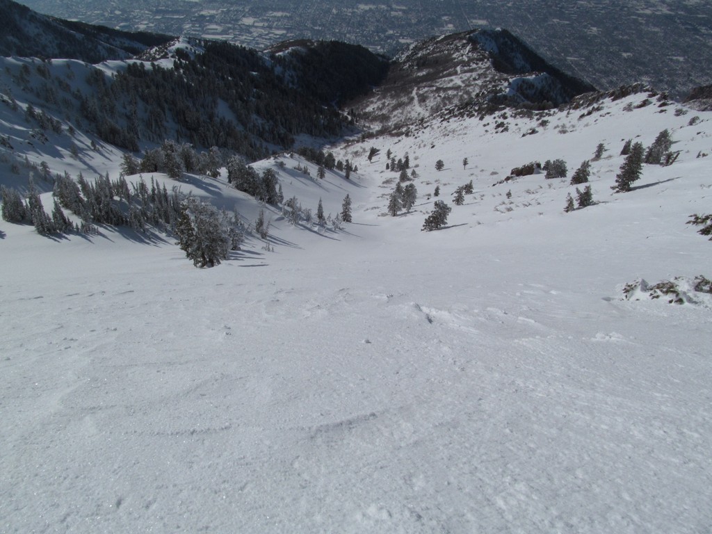 20130202_145648_1.JPG