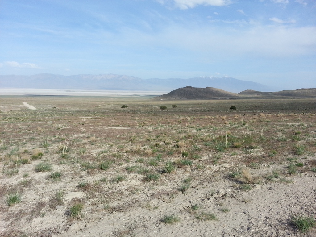 20130522_174739.jpg