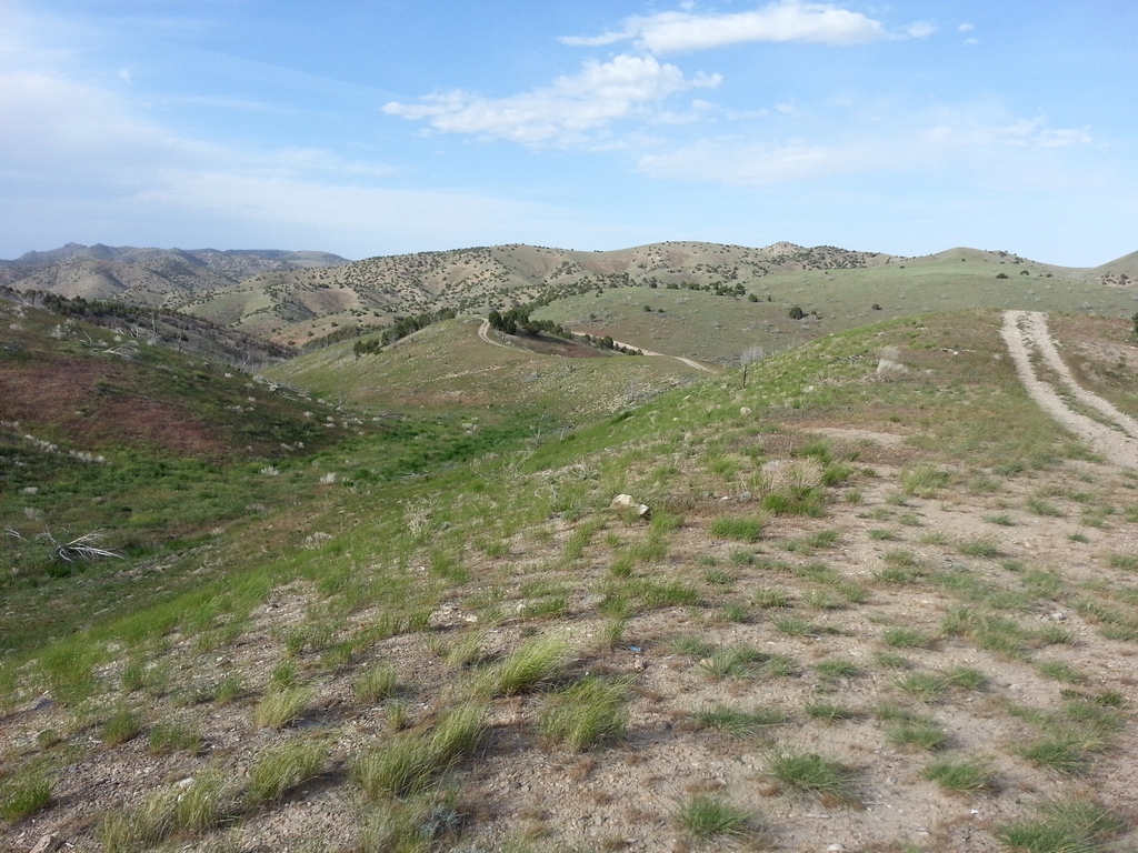 20130522_181802.jpg