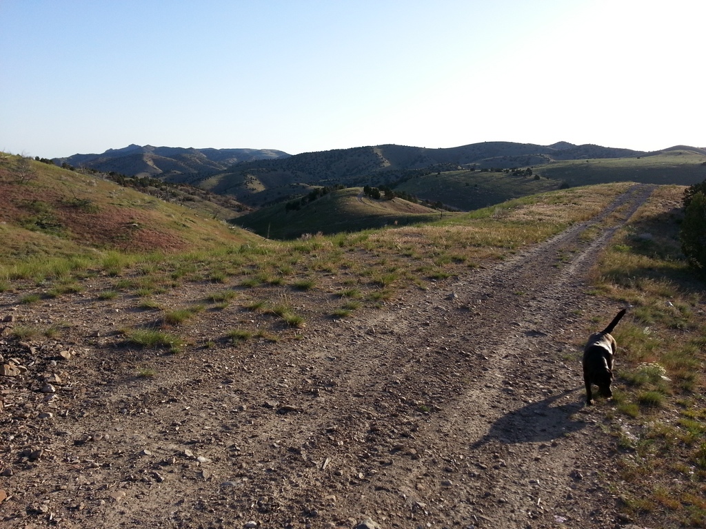 20130523_071852.jpg