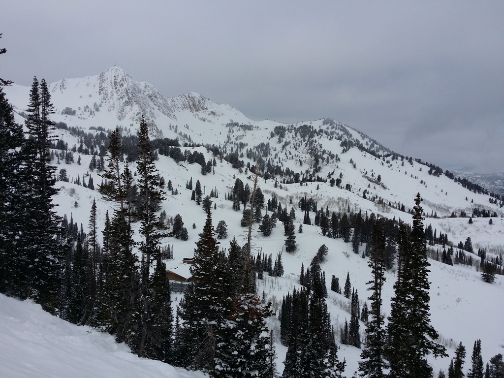 2014-02-02 10.13.46.jpg