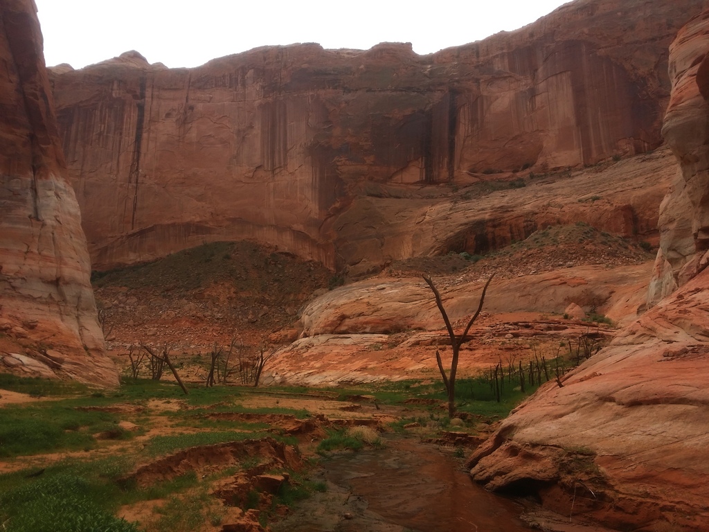 20140510_115557a.jpg