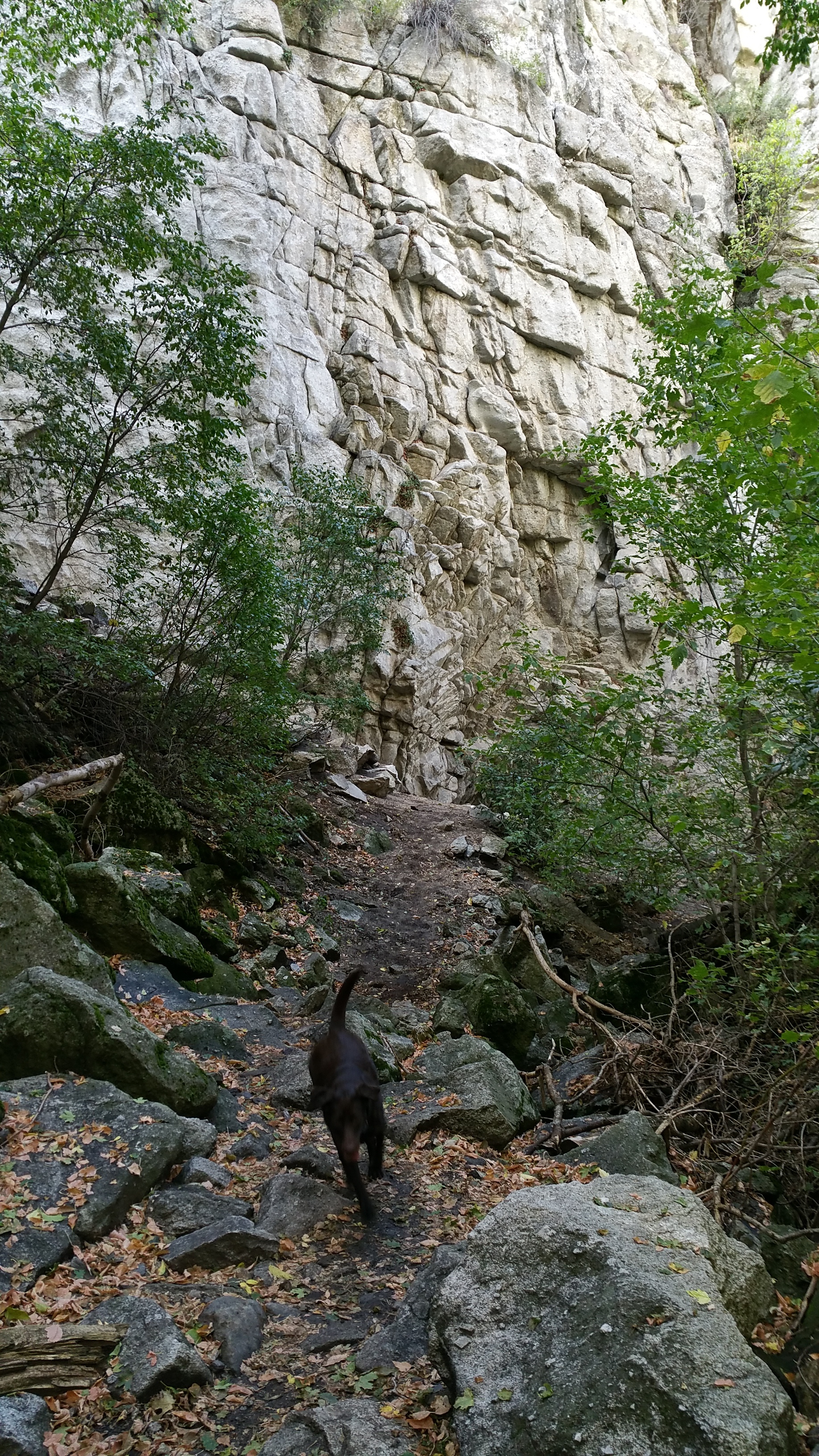 20151004_161627.jpg