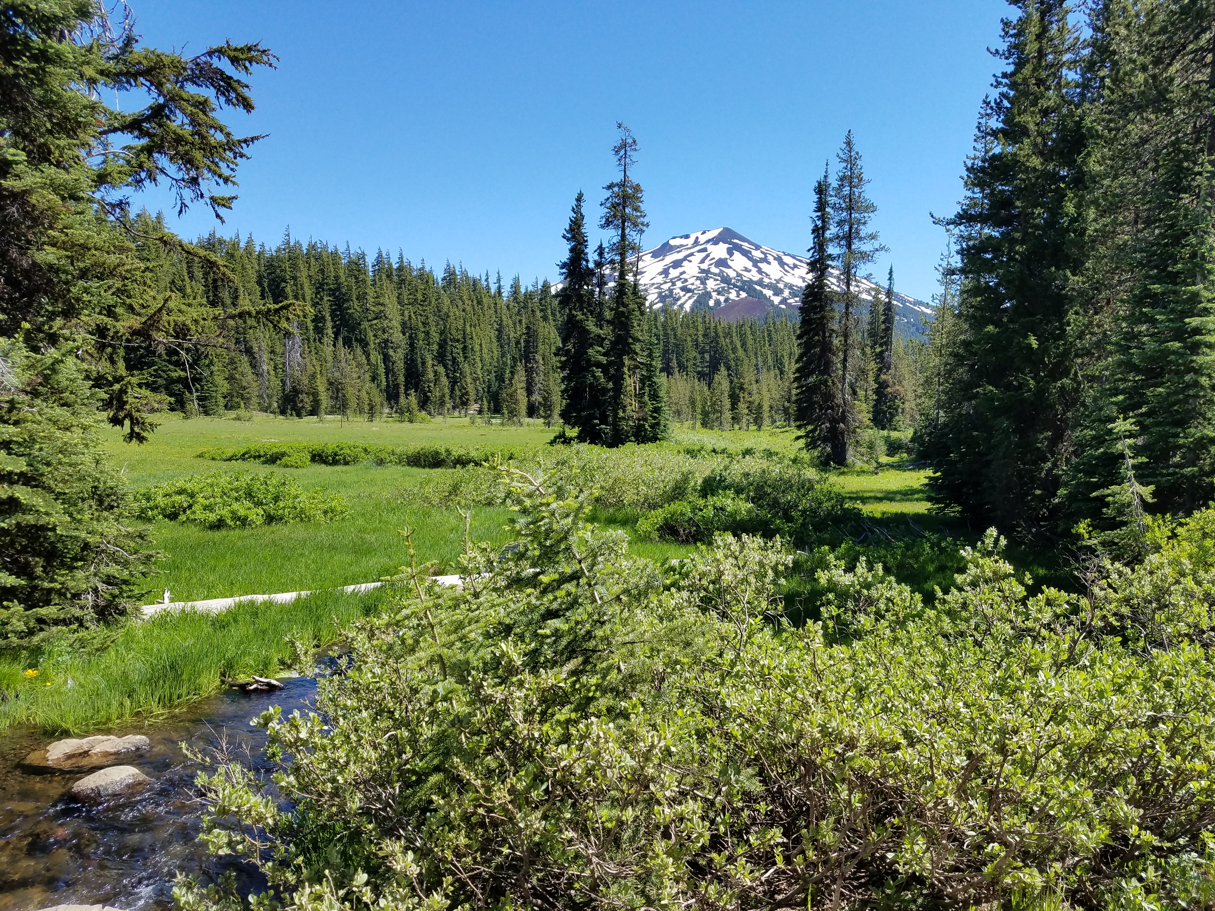 20160703_154229.jpg