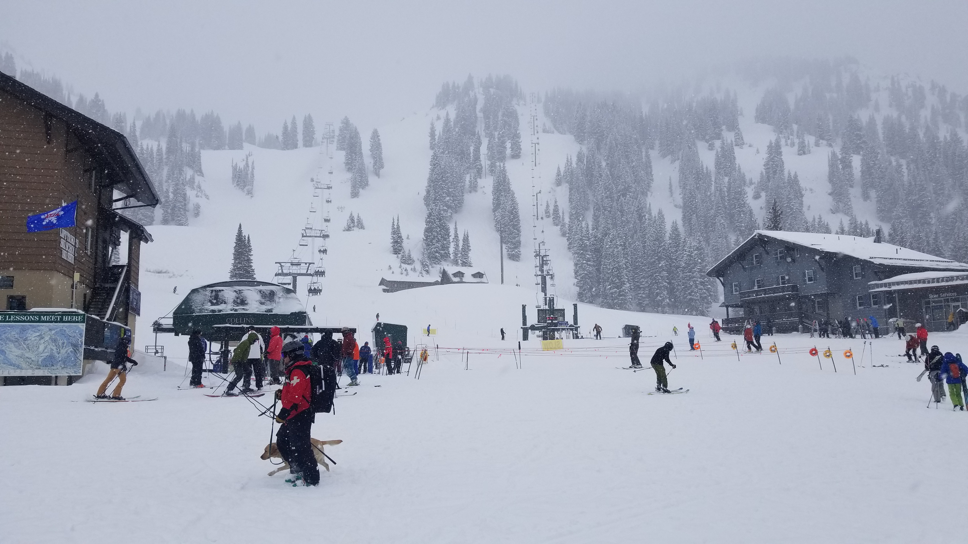 20190116_101811.jpg