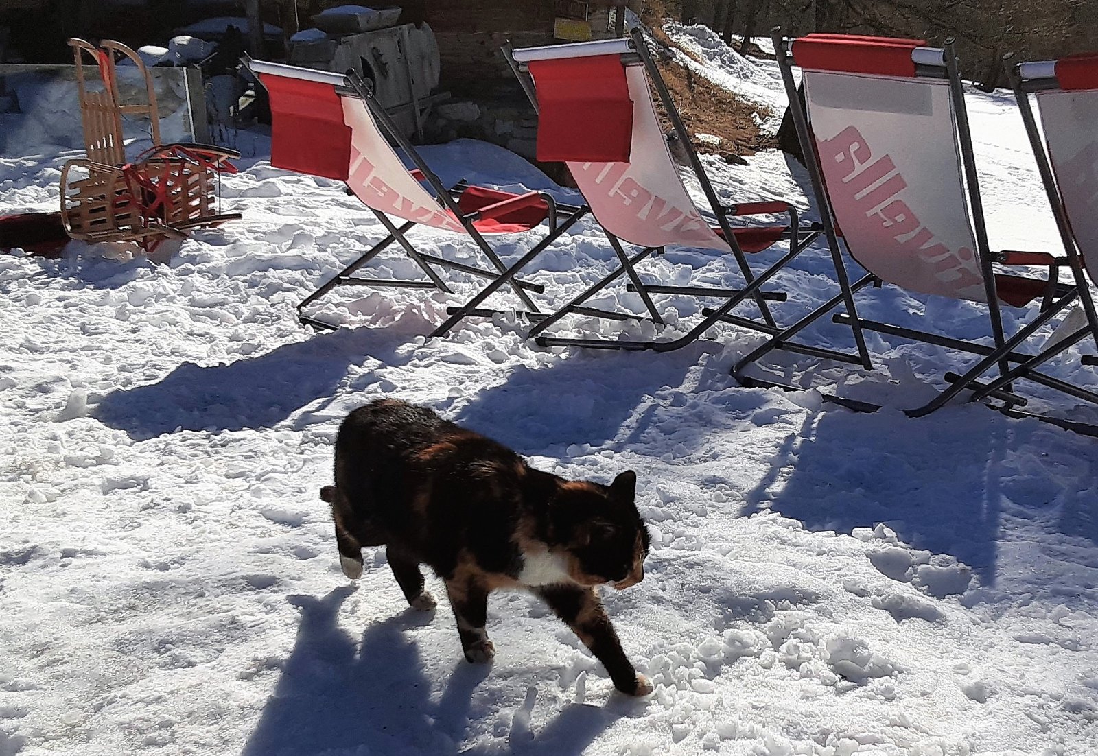 20220130_120325.jpg