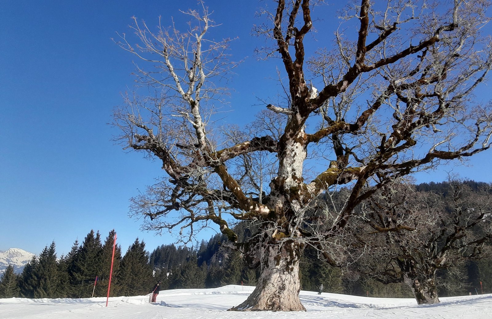 20220308_135541.jpg