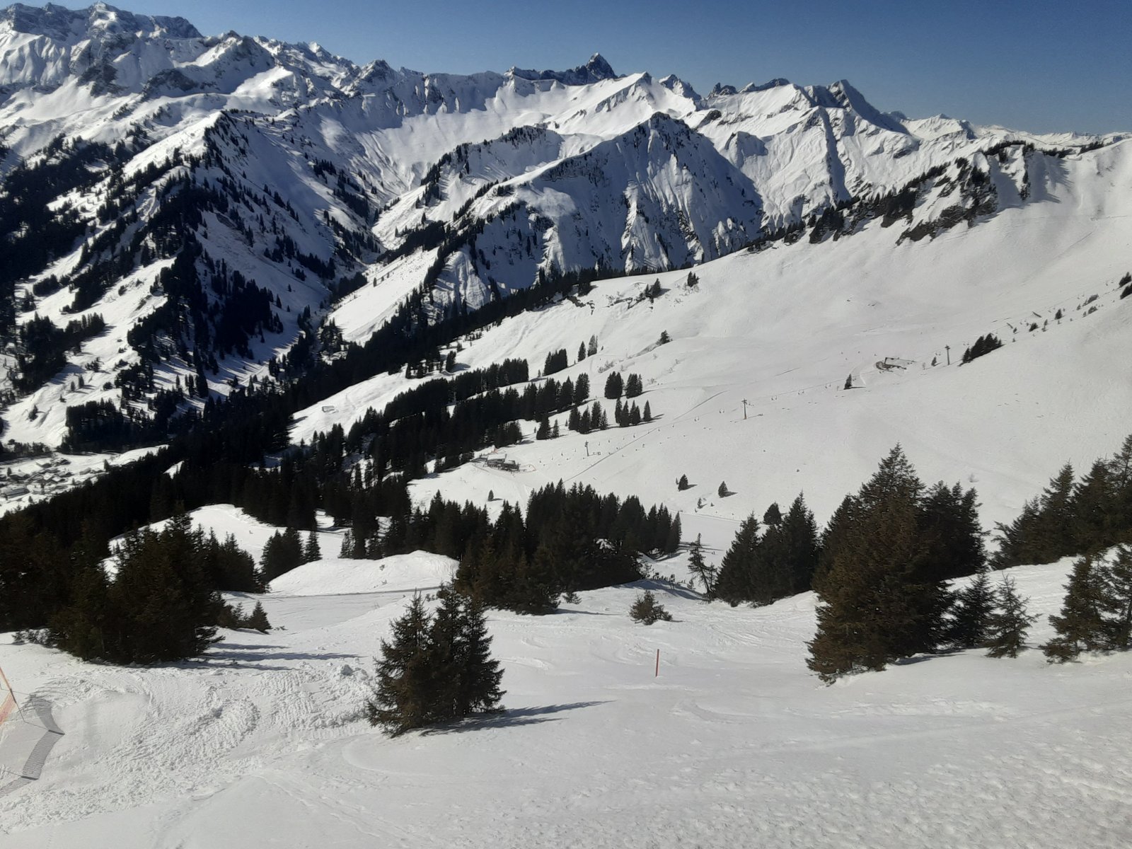 20220310_110233.jpg