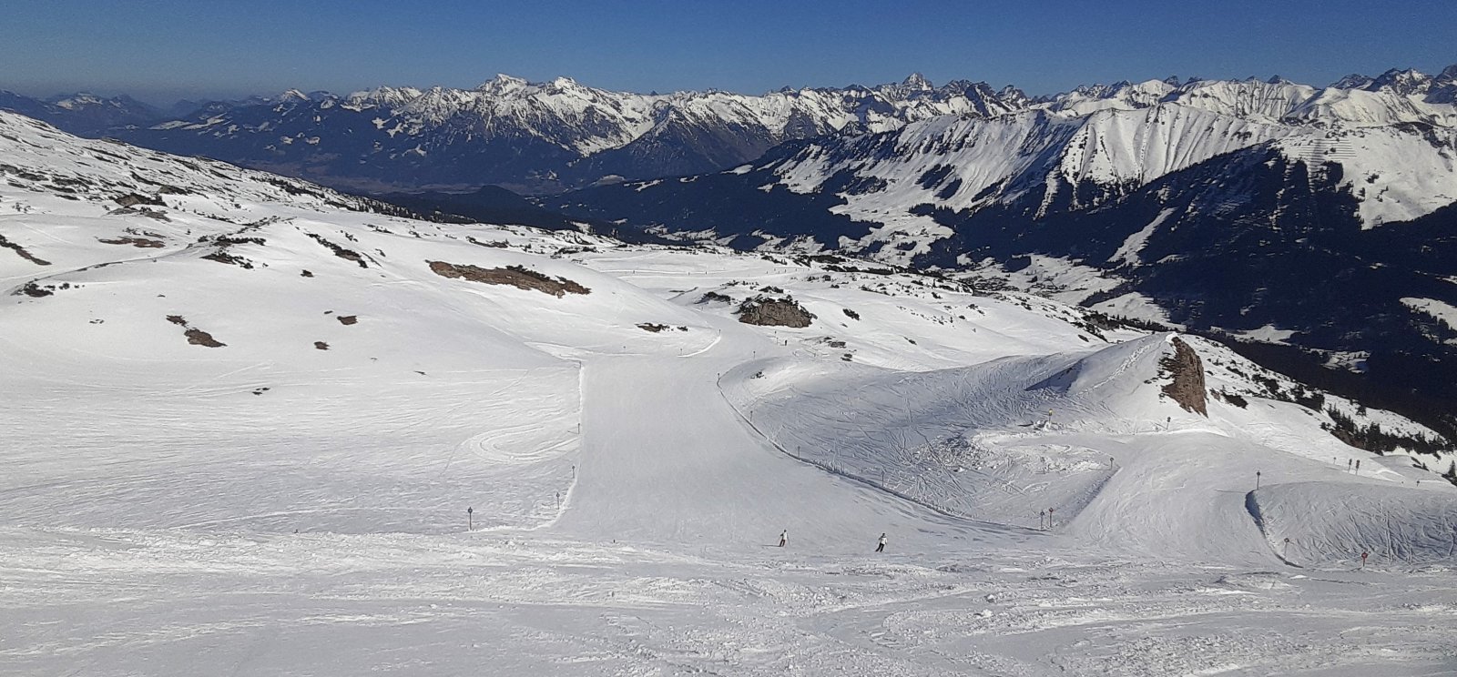 20220310_134450.jpg