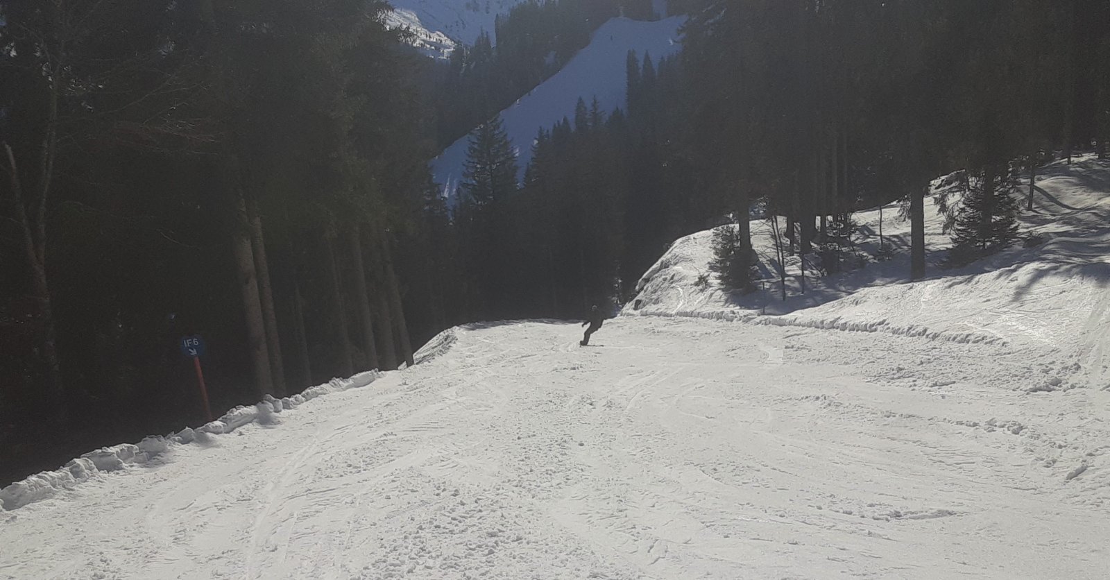 20220310_145834.jpg