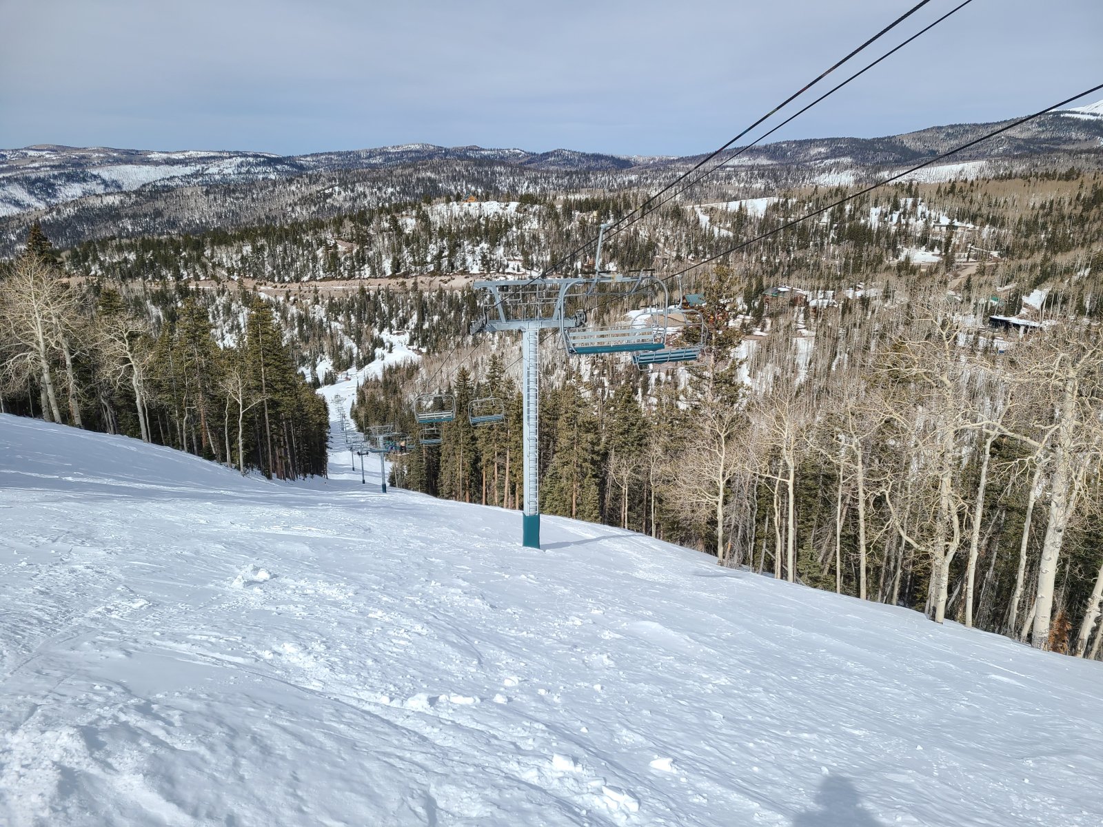 20220319_112133.jpg