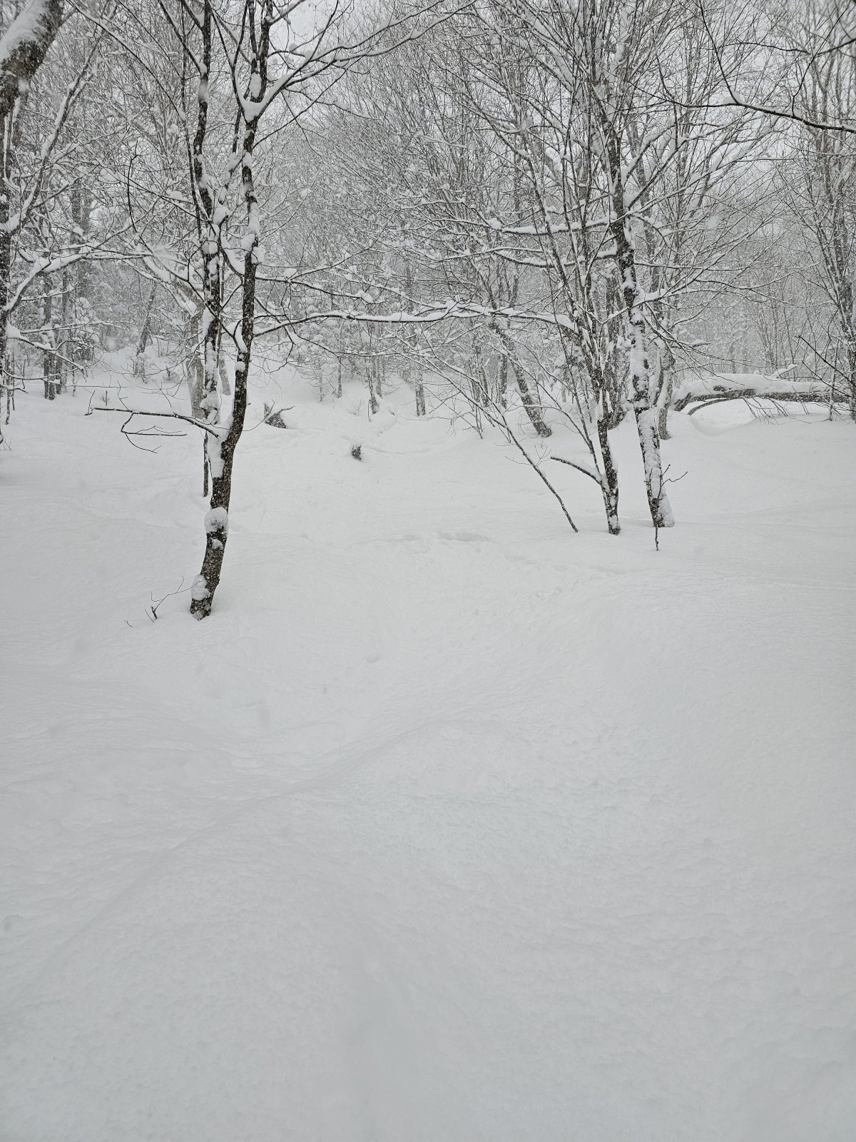 20240217_082944.jpg