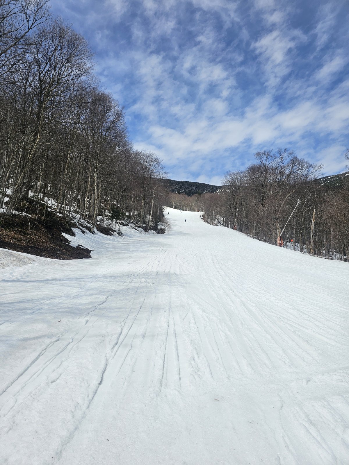 20240420_111320.jpg