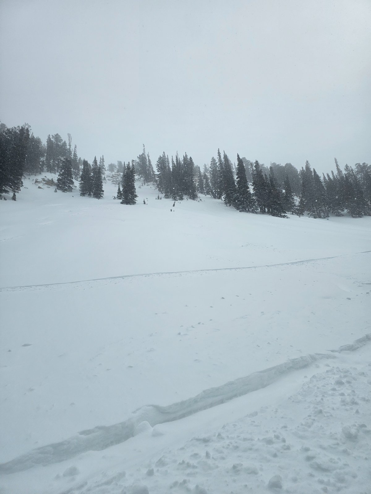 20250318_154536.jpg