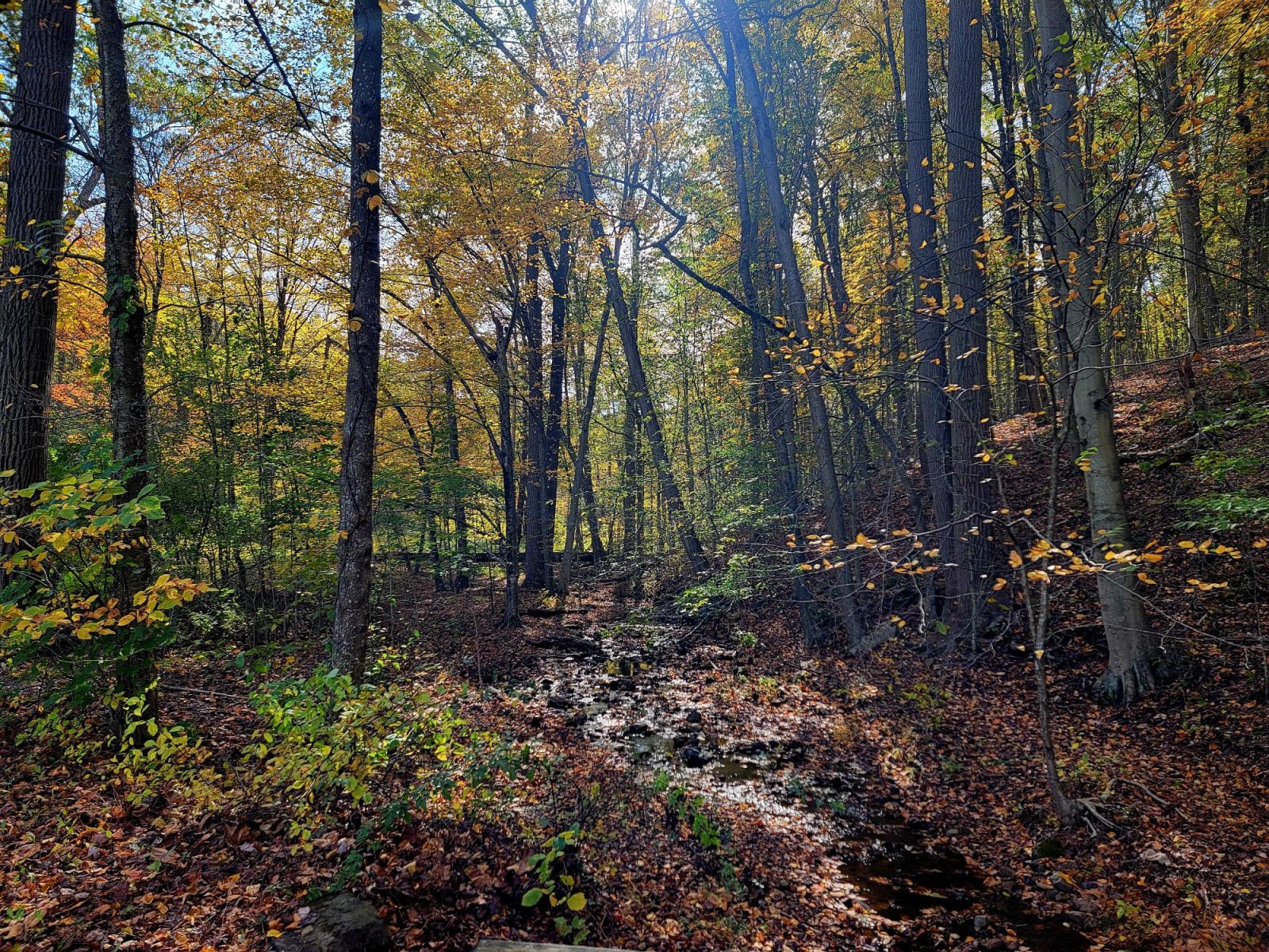 20251018_113438.jpg