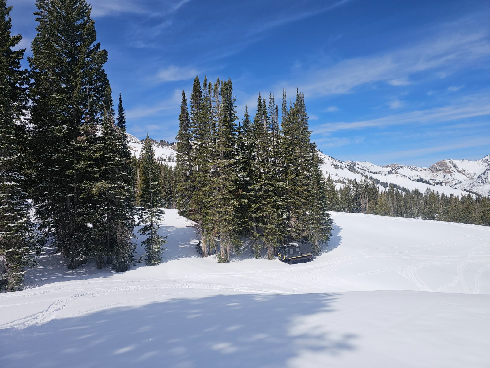 20260413_112538.jpg