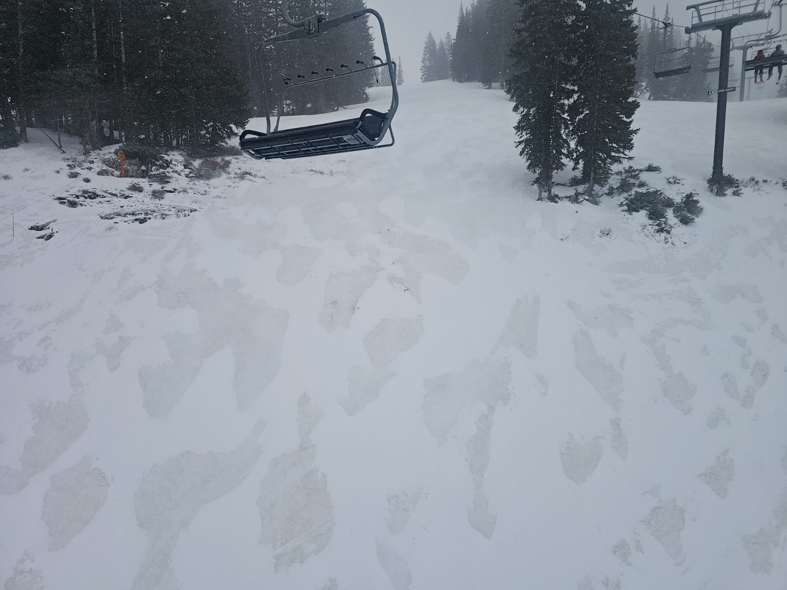 20260423_100343.jpg