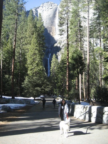 2420LuciaLecheAllYosemiteFalls.JPG