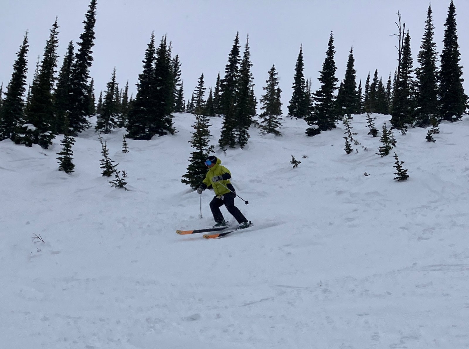 3189TonyCSkiing.JPG