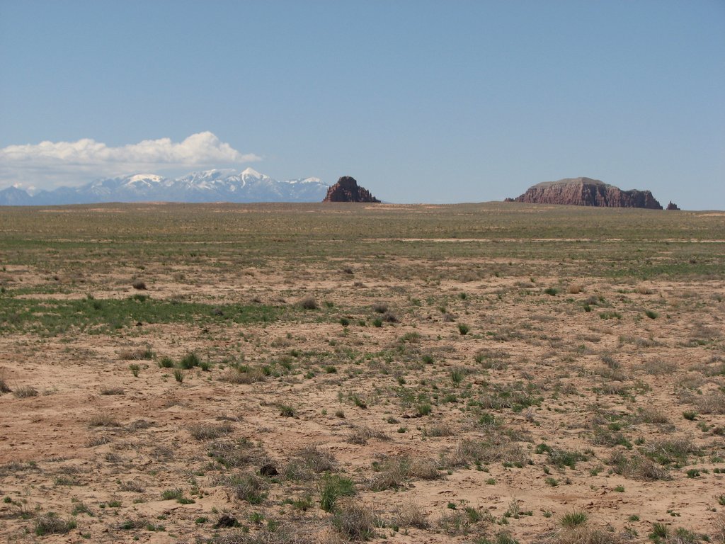 40 sanrafael gilson butte henry mts 100515.jpg
