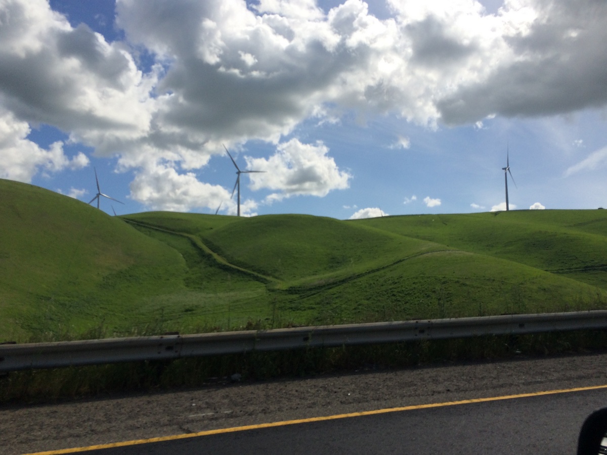 4013AltamontPassWindmills.JPG