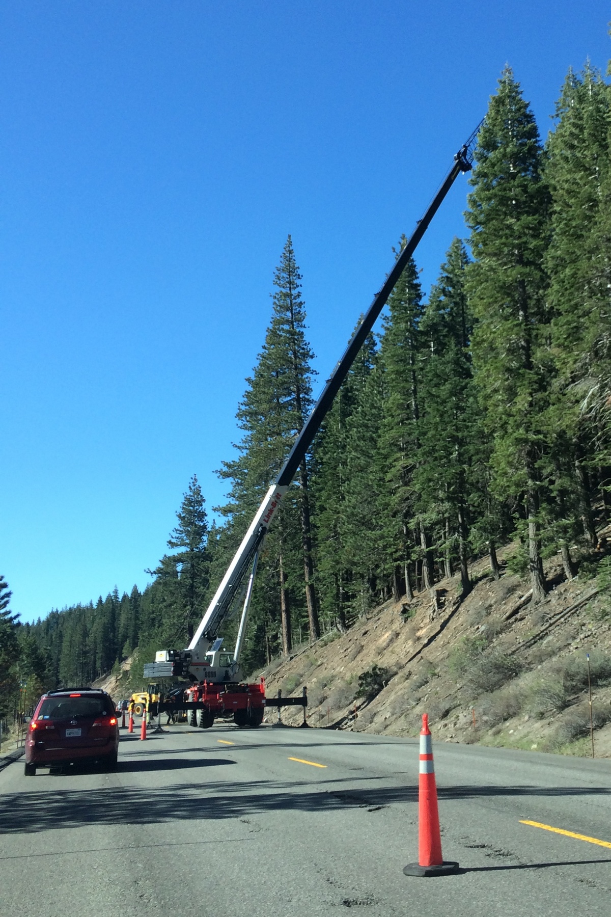 4436Highway89TreeRemoval.JPG