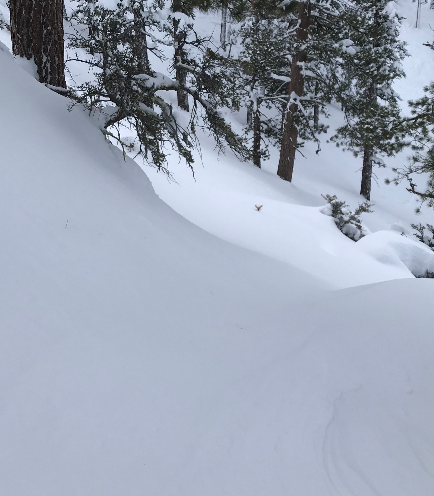 5710Hogsback.JPG
