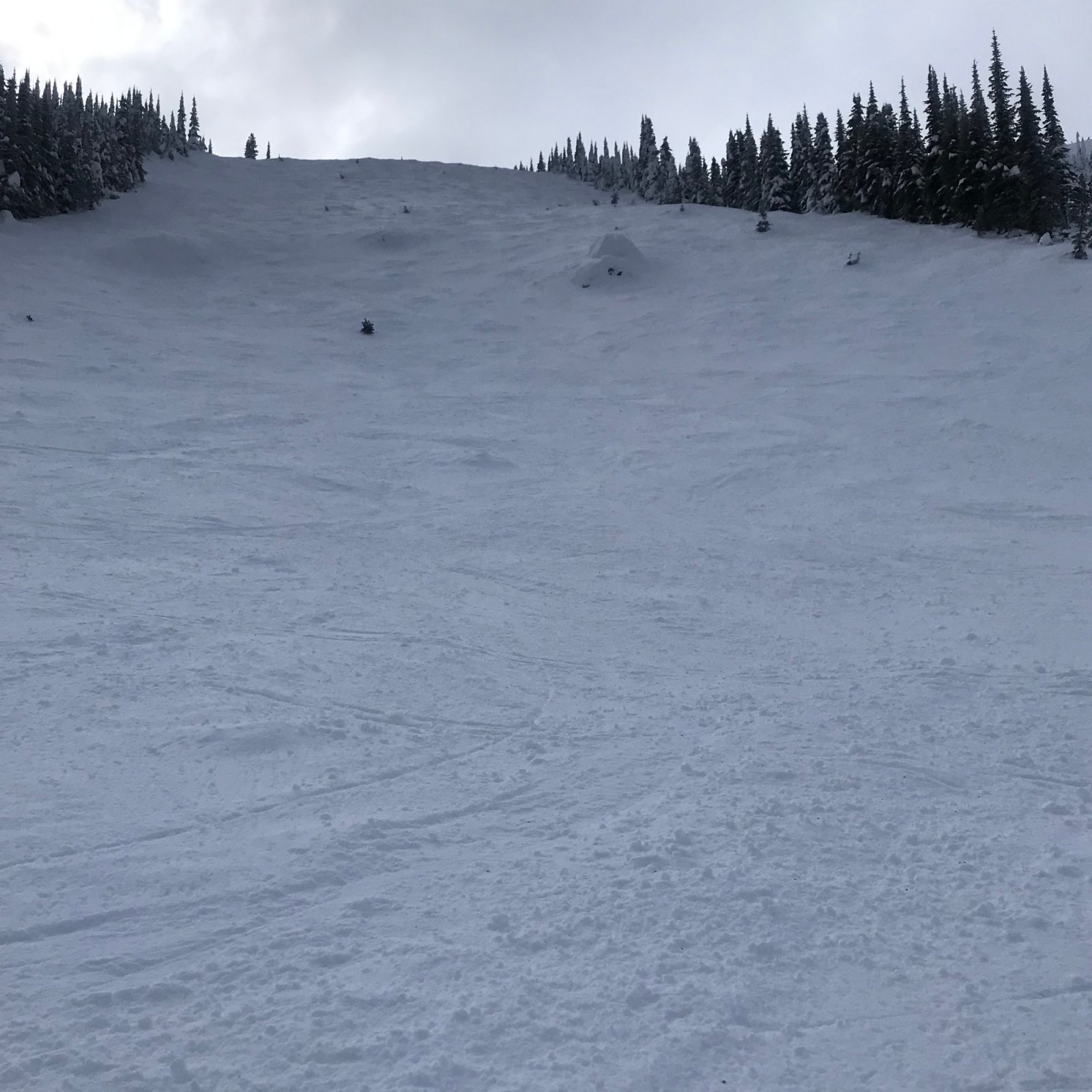 Schweitzer, ID 2/1314/23 Liftlines Skiing and Snowboarding Forums