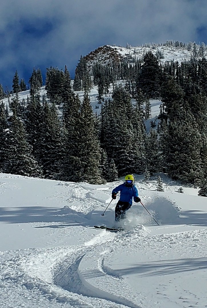 8 feb 2025 tru snowbird.jpg